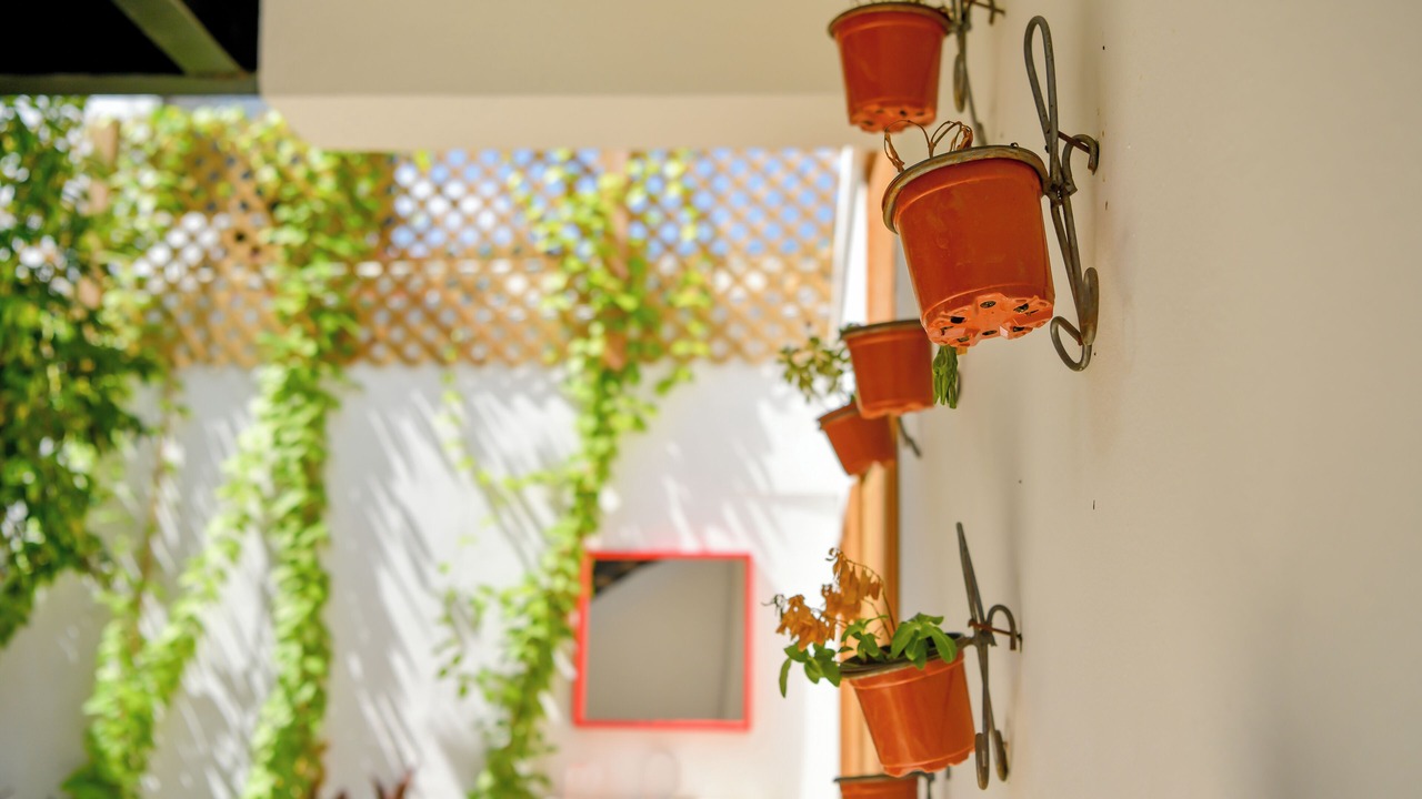 Photo of Patio Balcony in Zona Colonial