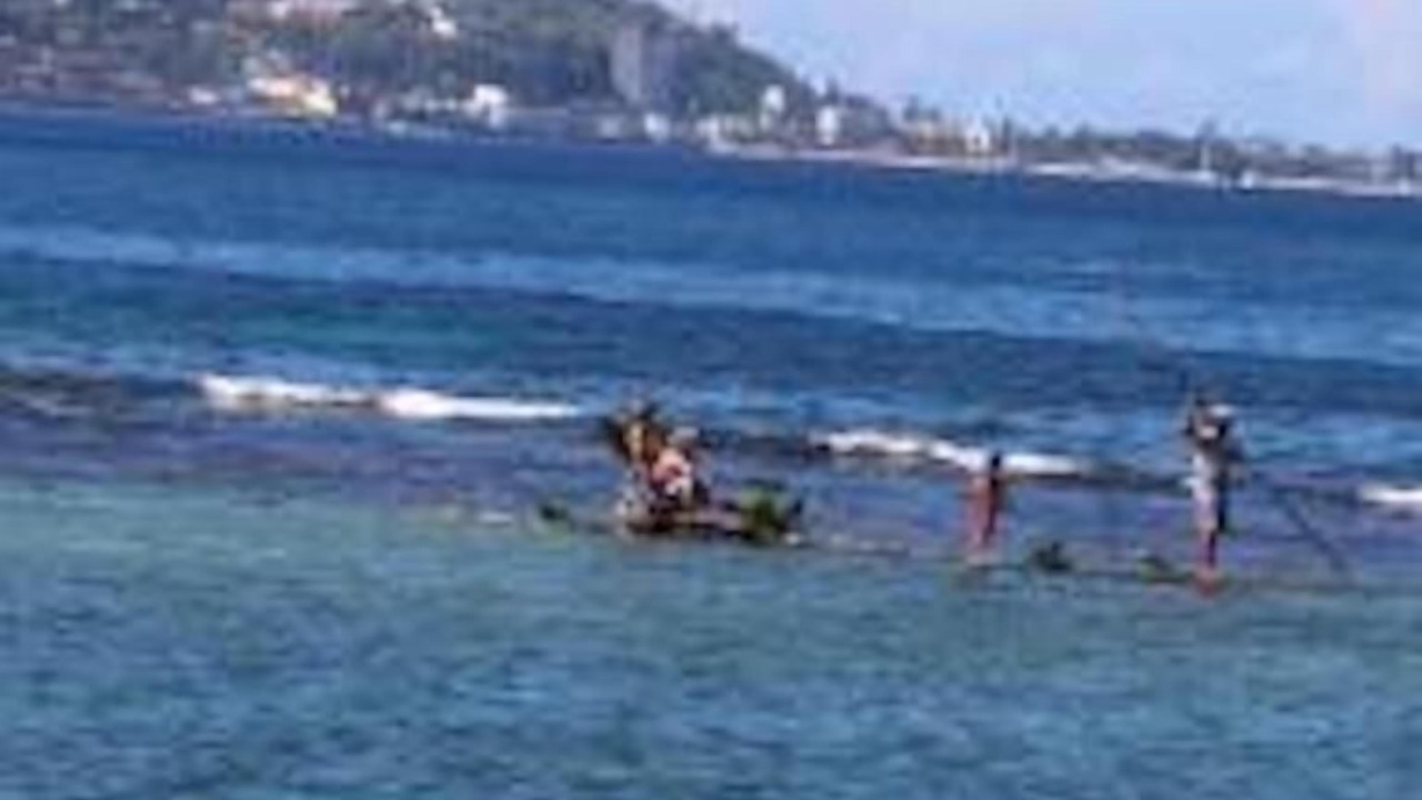 Photo of Others in Montego Bay