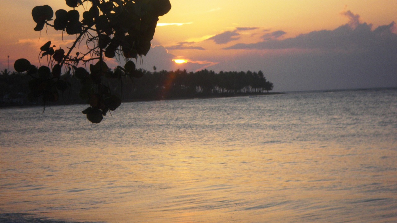 Photo of Others in La Ceiba