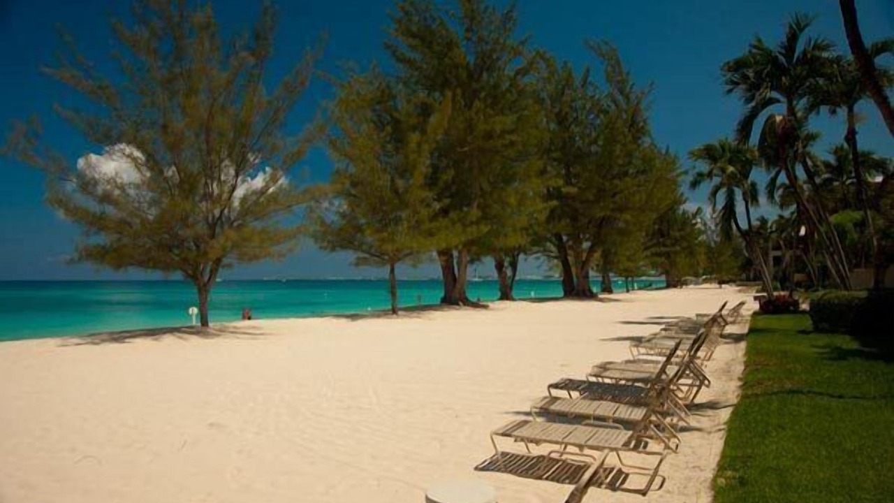 Photo of Others in Seven Mile Beach