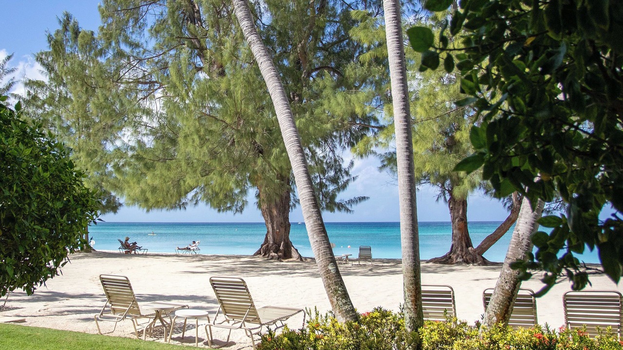 Photo of Others in Seven Mile Beach