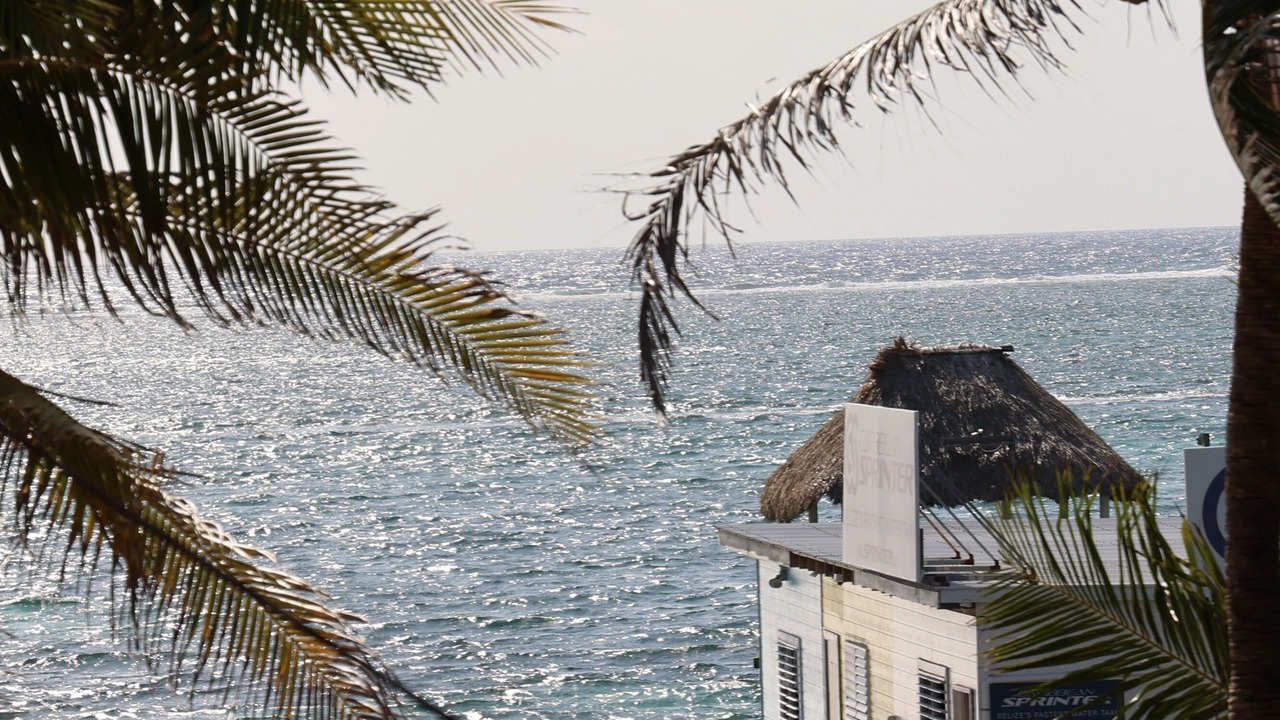 Photo of Outdoor in San Pedro