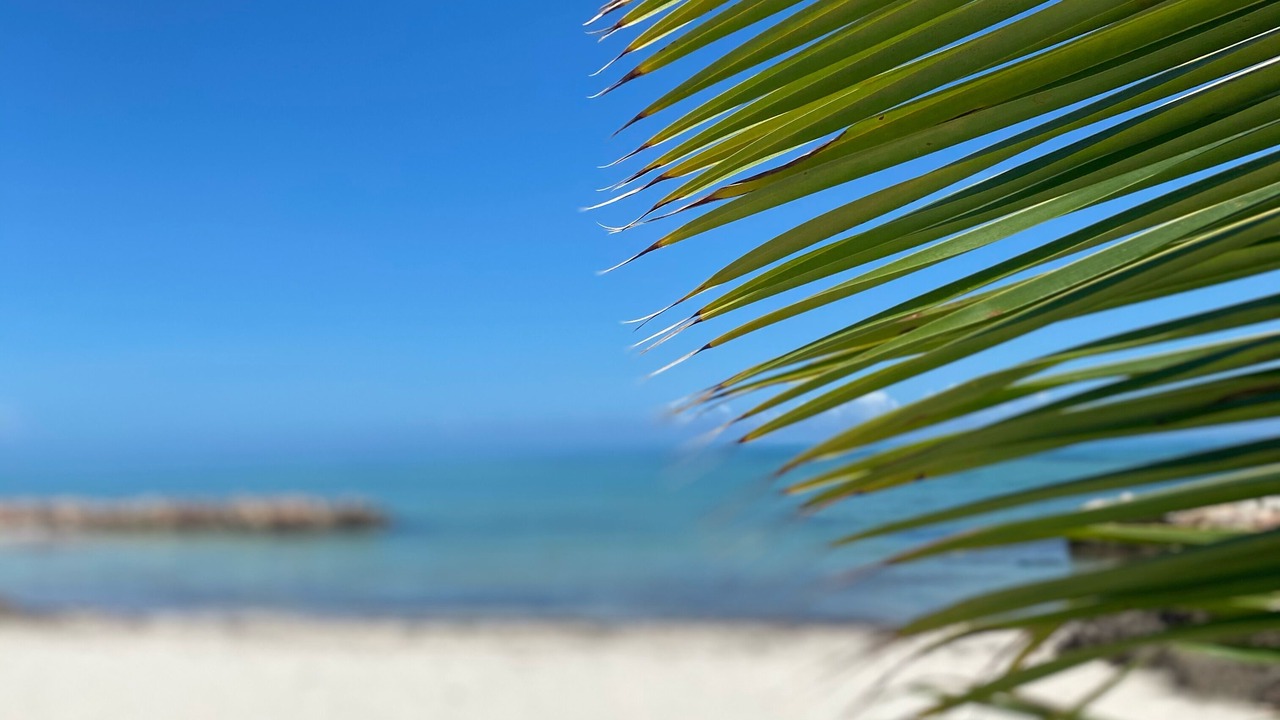 Photo of Outdoor in San Pedro