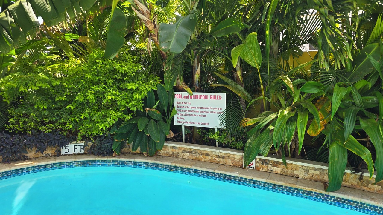 Photo of Outdoor in Noord