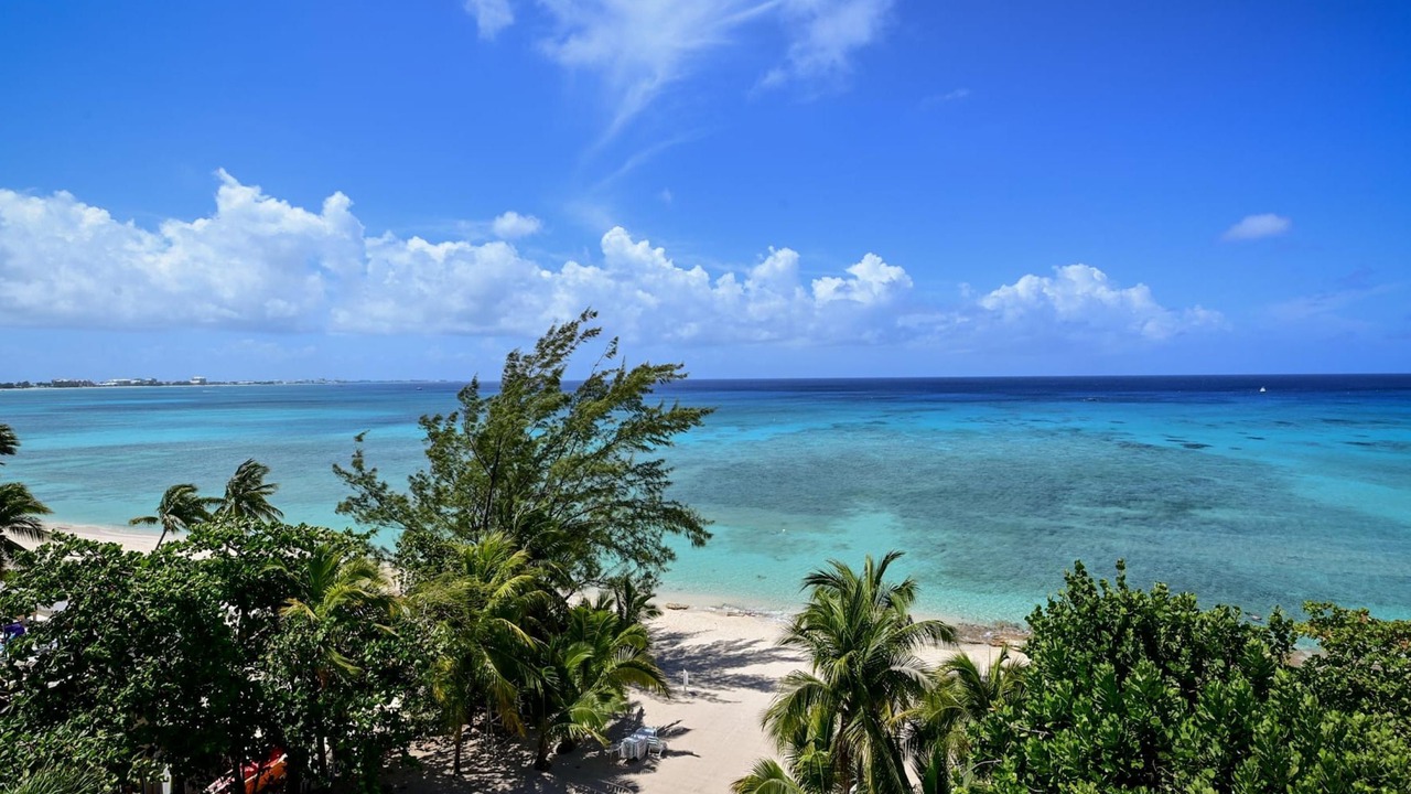 Photo of Others in Seven Mile Beach
