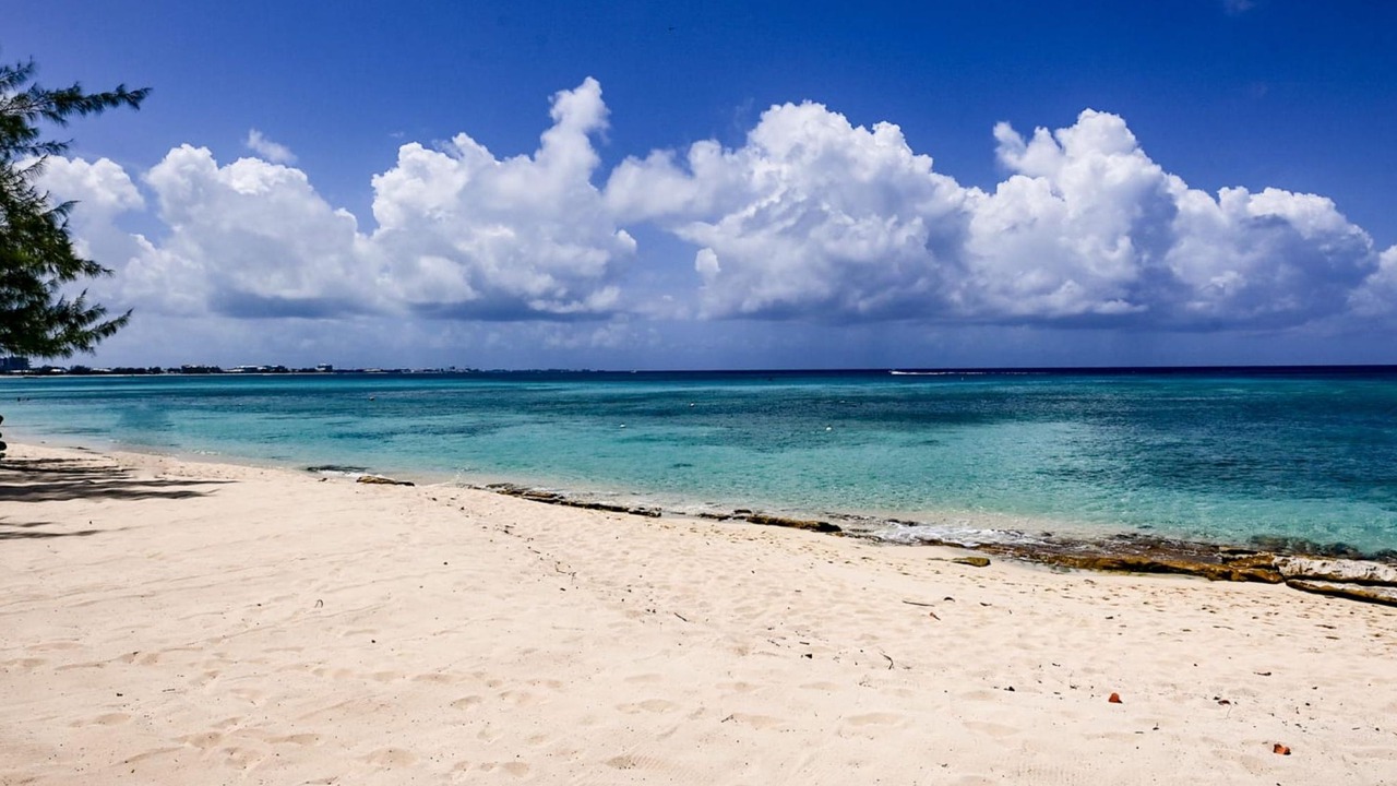 Photo of Others in Seven Mile Beach
