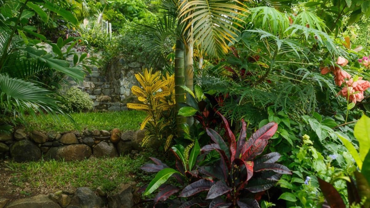 Photo of Outdoor in Bois d'Orange