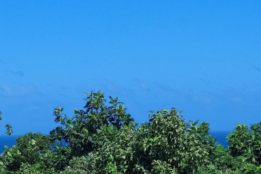Photo of Outdoor in Port Antonio