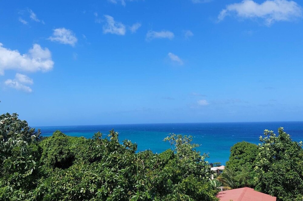 Photo of Others in Port Antonio