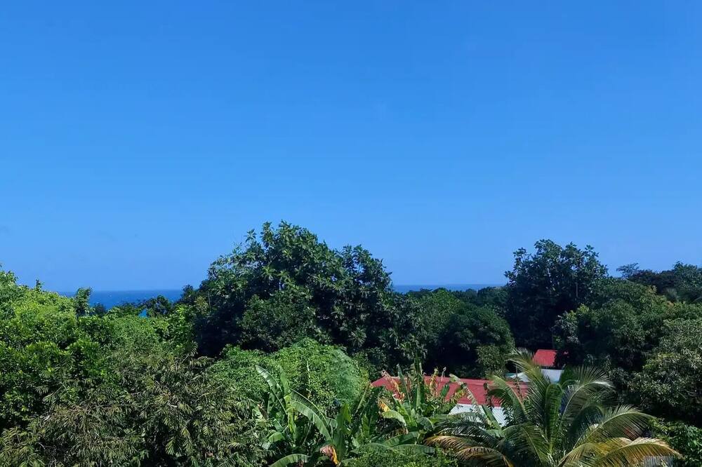 Photo of Others in Port Antonio
