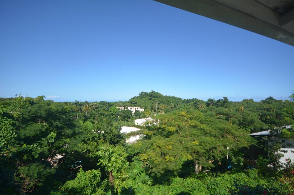 Photo of Others in La Ceiba