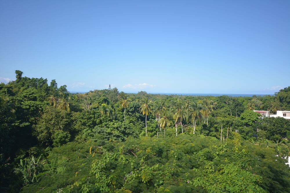 Photo of Others in La Ceiba
