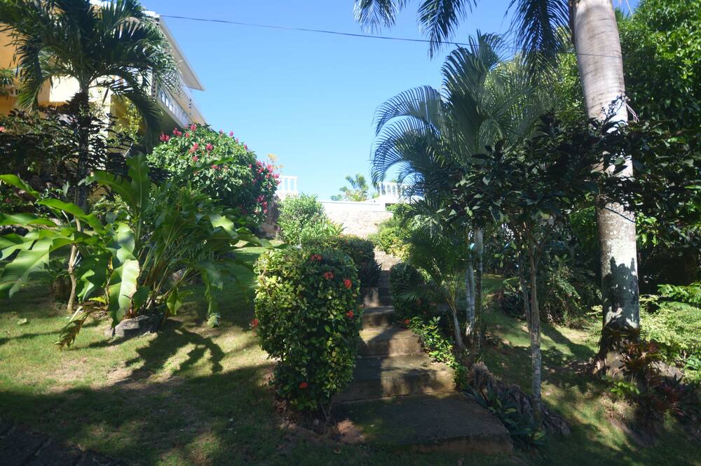 Photo of Outdoor in La Ceiba