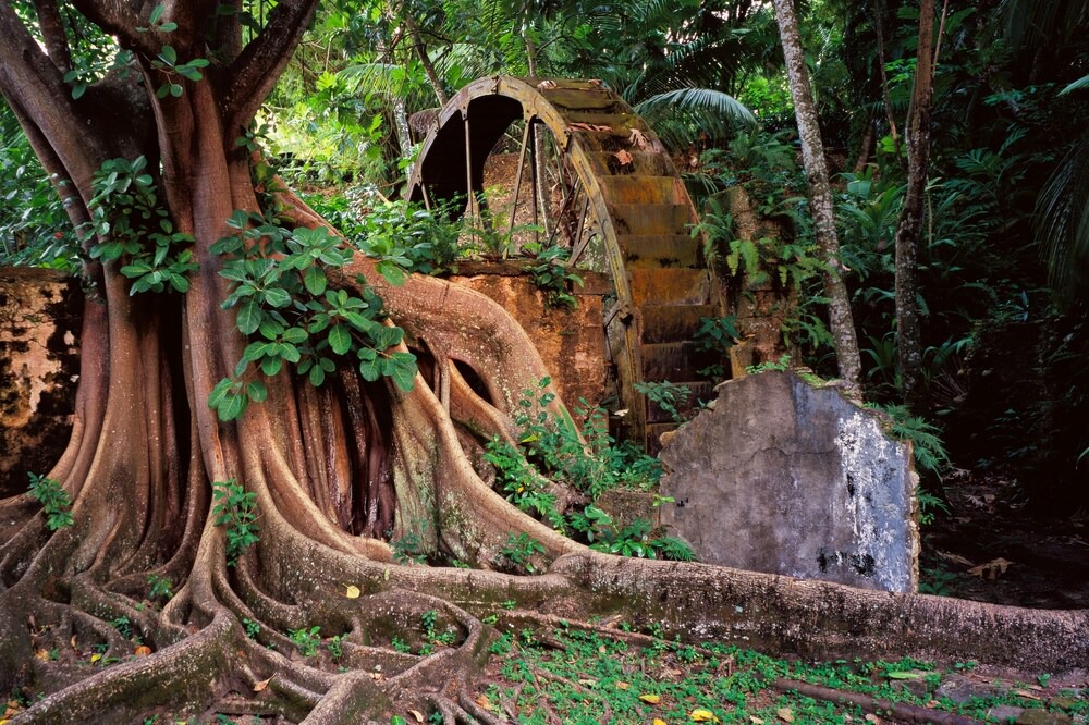 Photo of Outdoor in Piaye