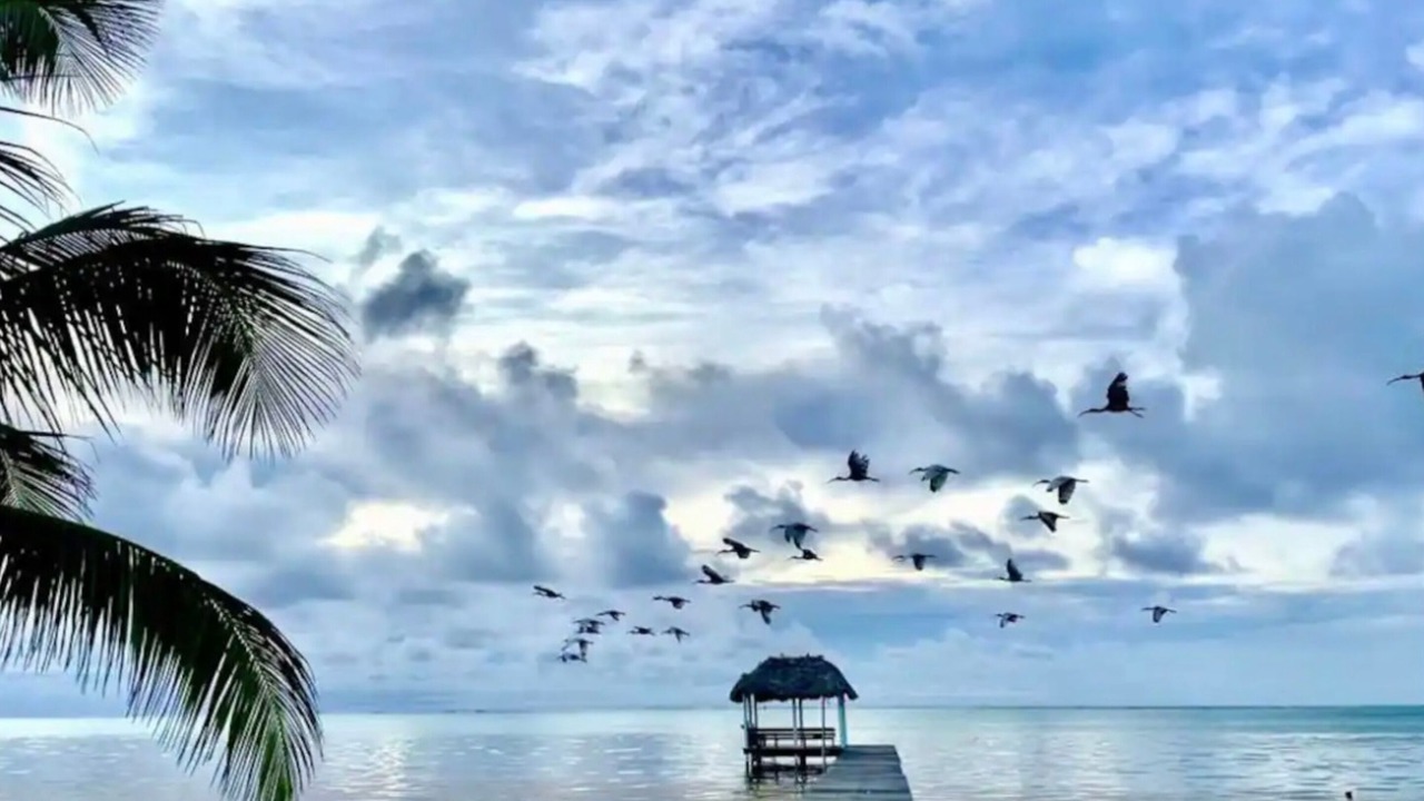 Photo of Outdoor in San Pedro