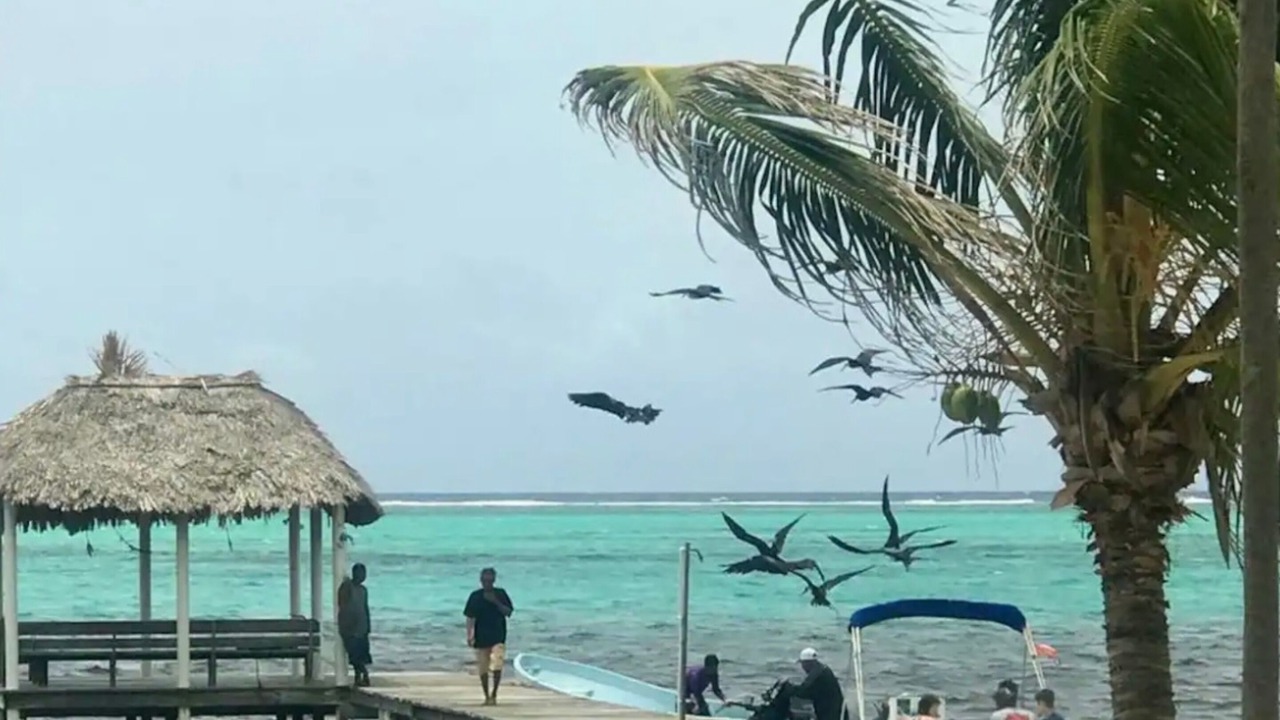 Photo of Outdoor in San Pedro
