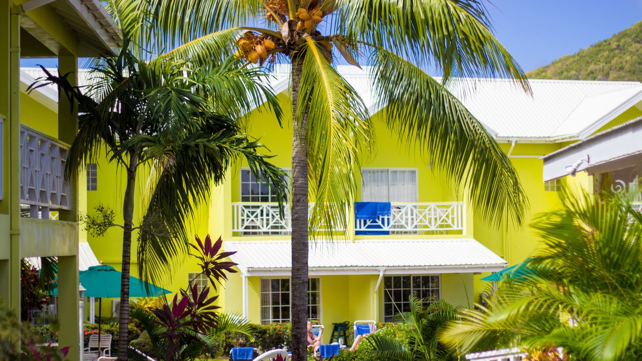 Photo of Others in Rodney Bay