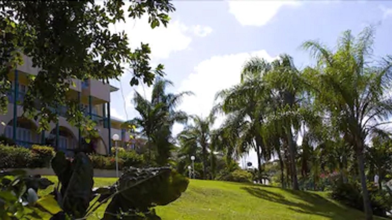 Photo of Outdoor in Runaway Bay