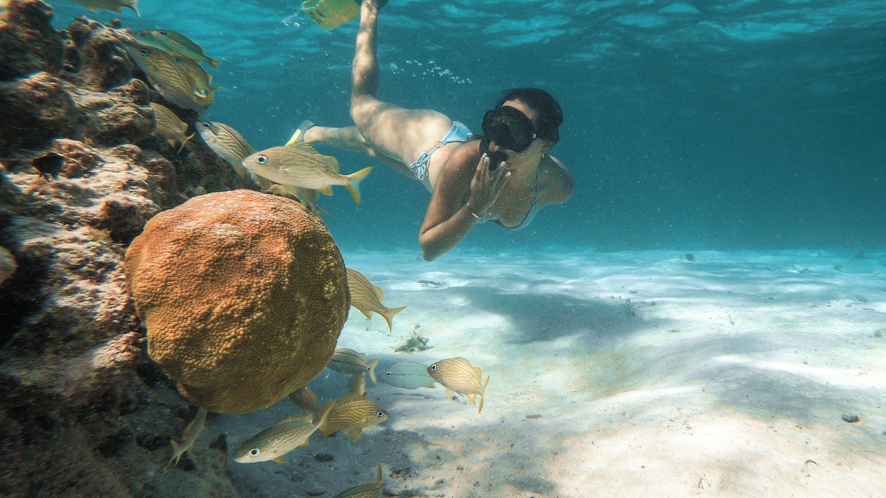Photo of Others in San Pedro