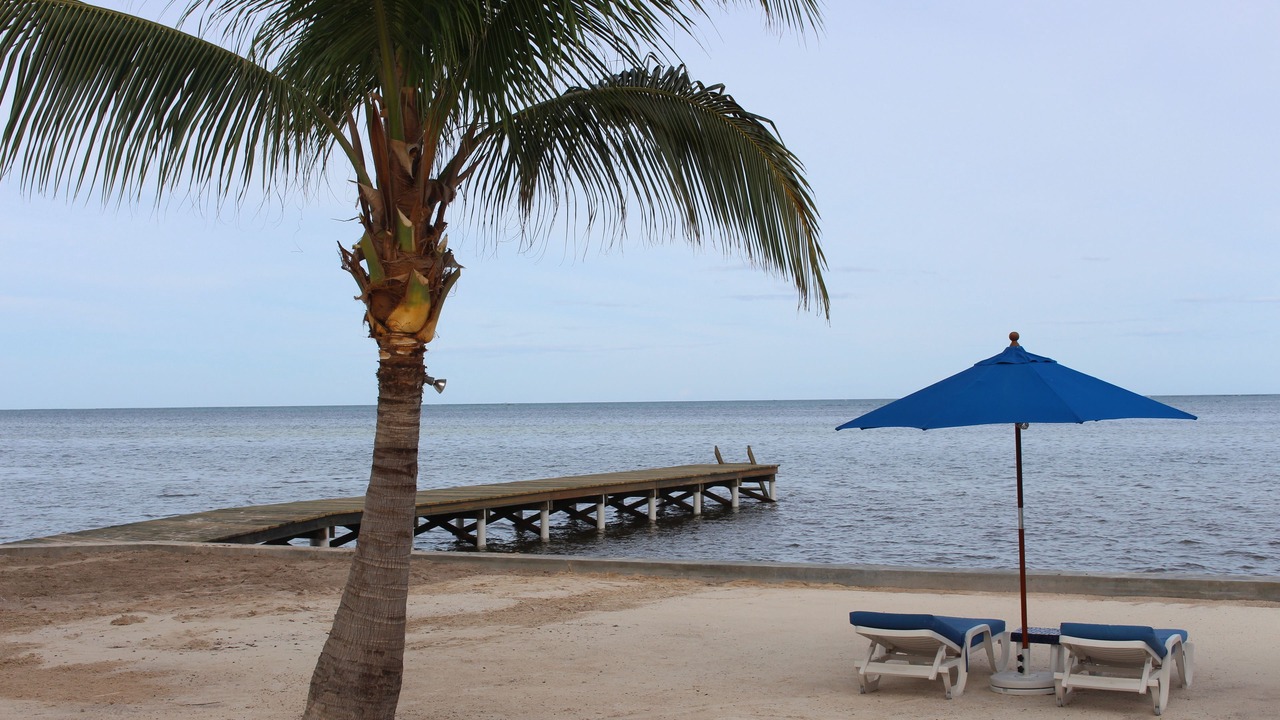 Photo of Others in San Pedro