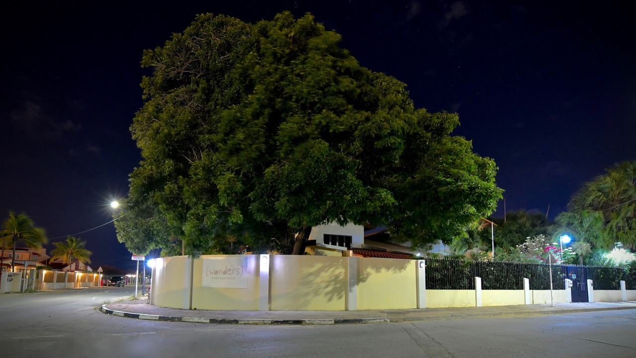 Photo of Outdoor in Oranjestad-West