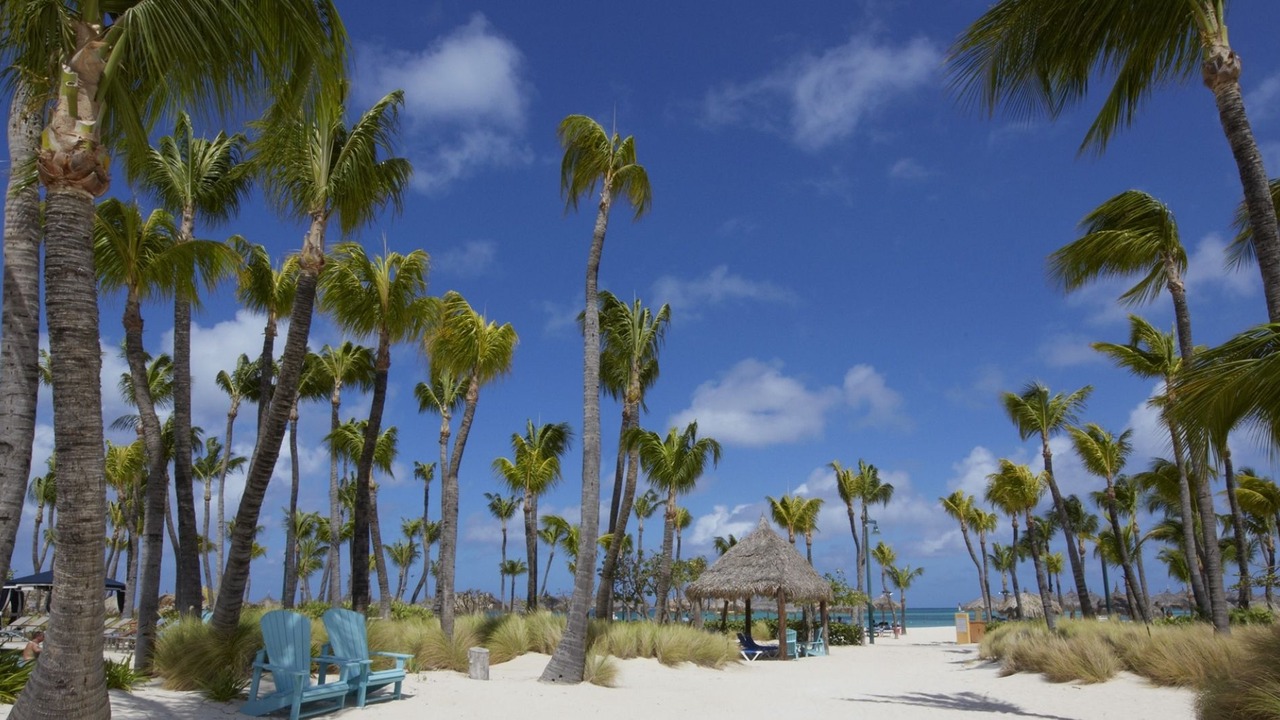Photo of Others in Oranjestad-West
