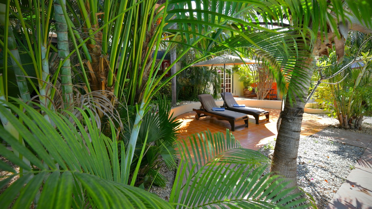 Photo of Outdoor in Oranjestad-West