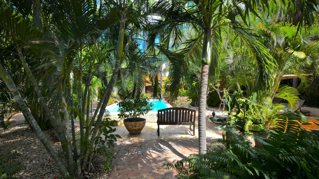Photo of Outdoor in Oranjestad-West