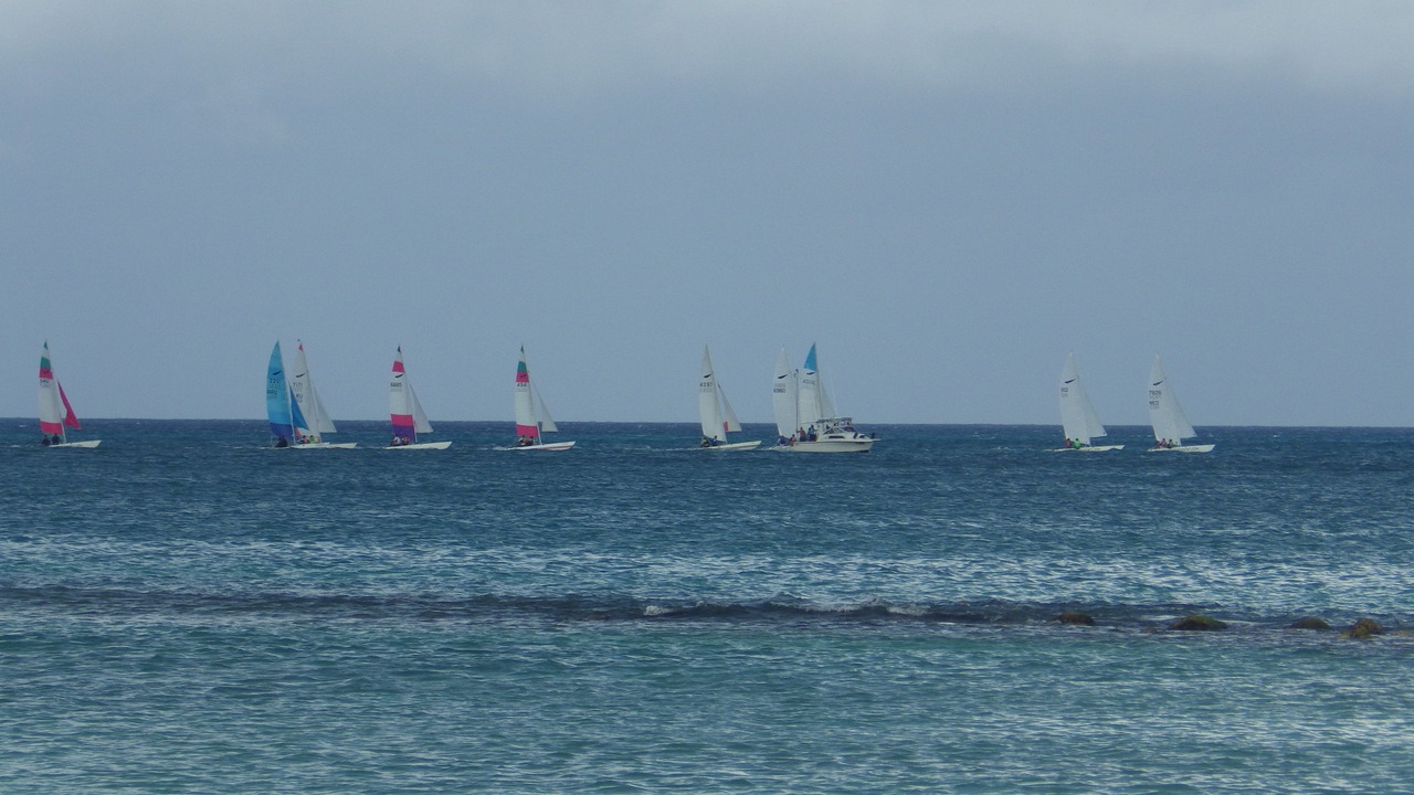 Photo of Others in Opal