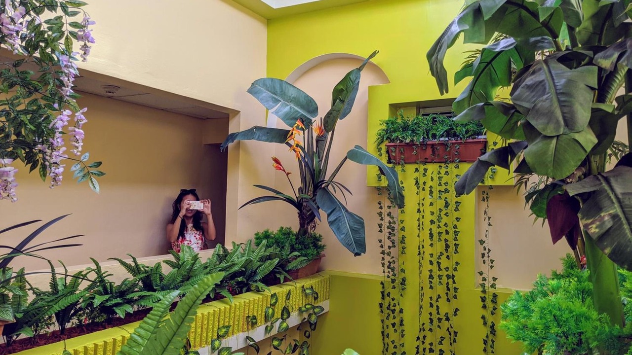 Photo of Others in Santurce