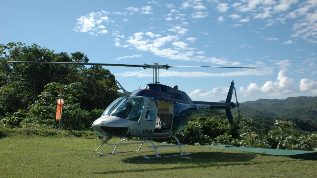 Photo of Others in Montego Bay