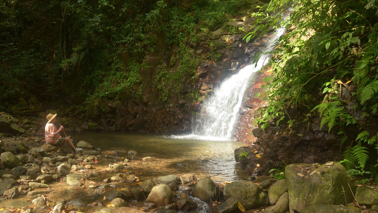 Photo of Outdoor in Choiseul