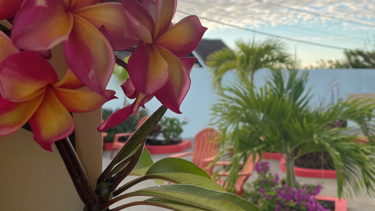 Photo of Outdoor in Morne Rouge