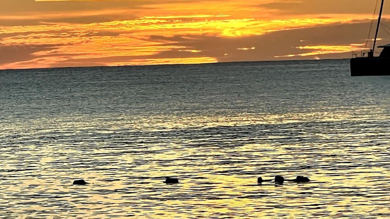 Photo of Others in Jolly Harbour