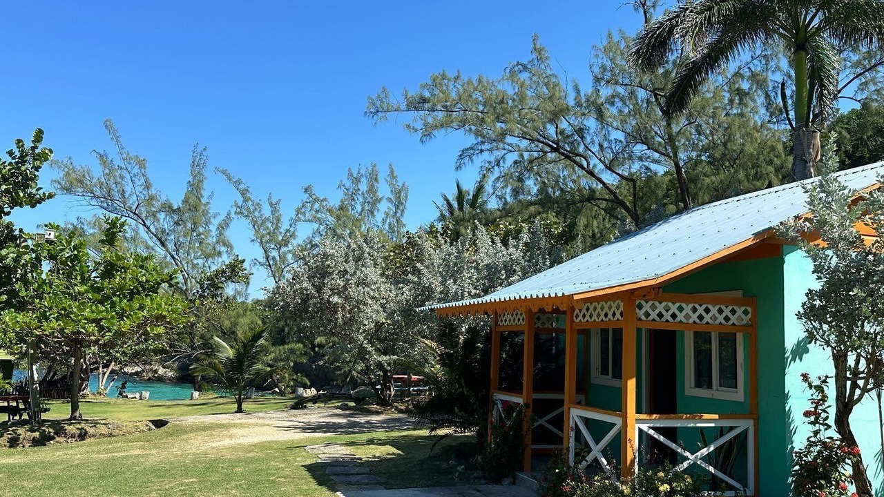 Photo of Others in Robins Bay
