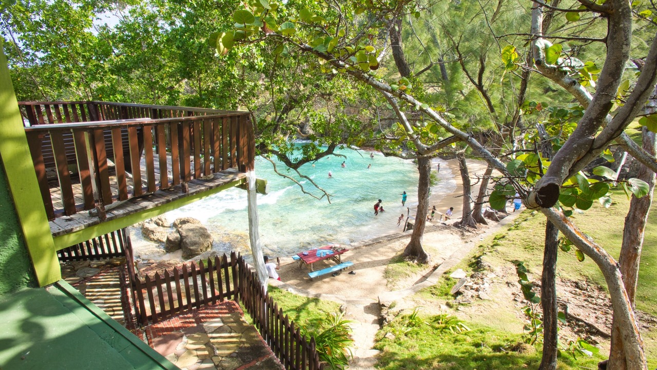 Photo of Others in Robins Bay