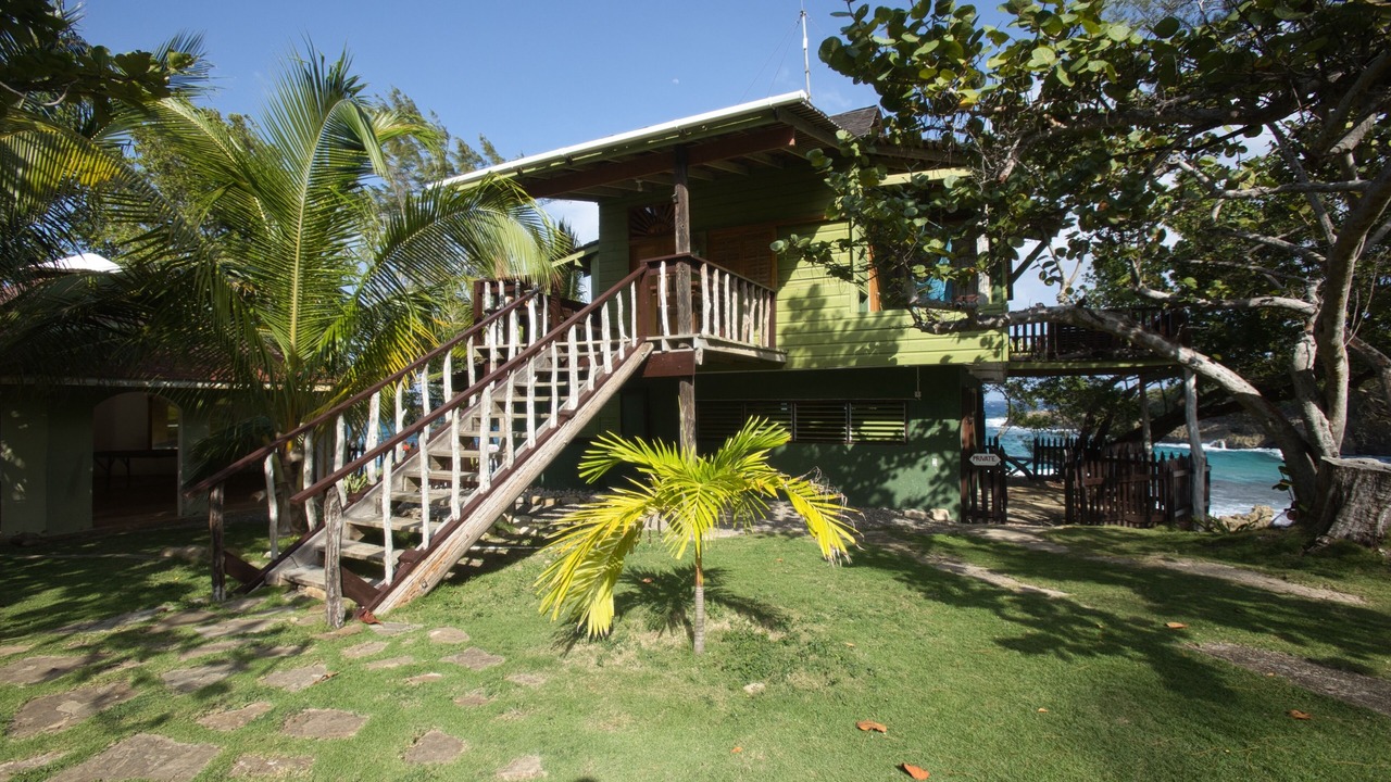Photo of Others in Robins Bay