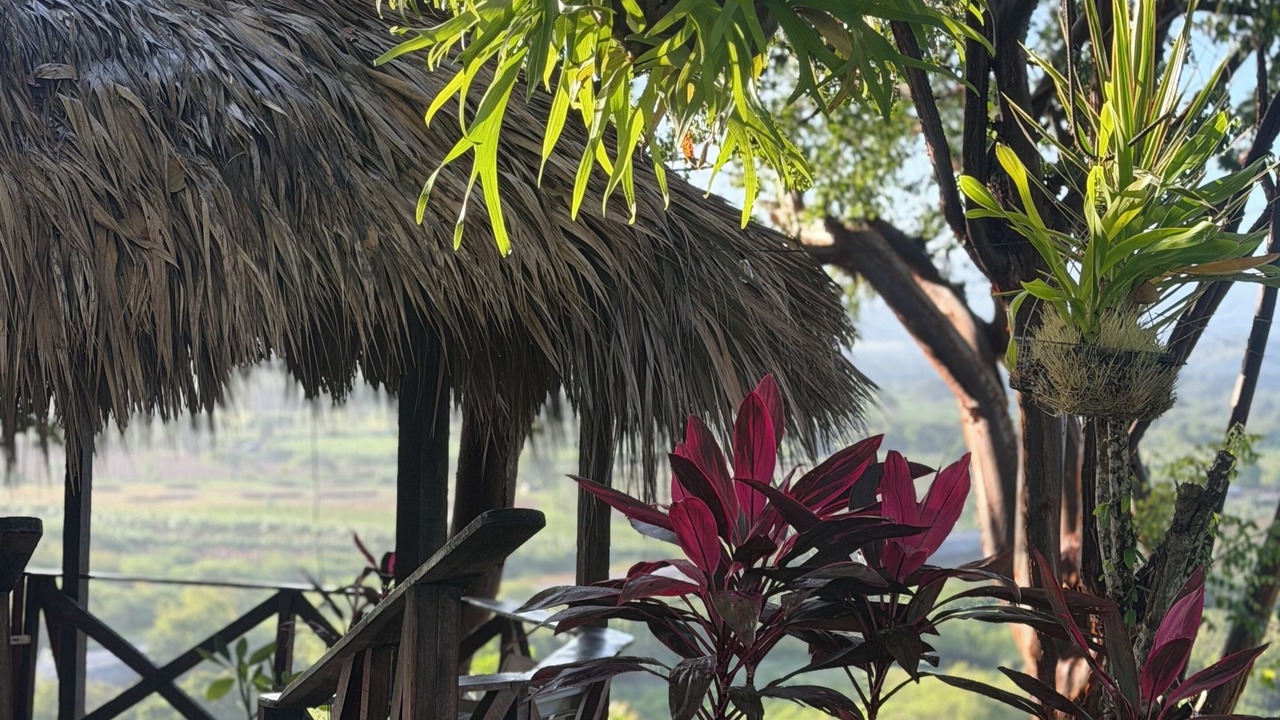 Photo of Others in La Isabela