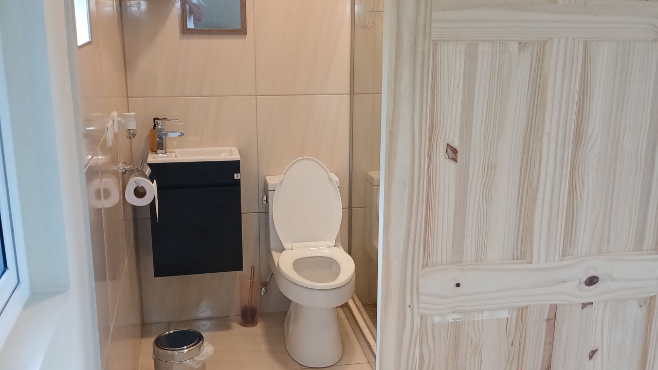 Photo of Bathroom in Port Antonio