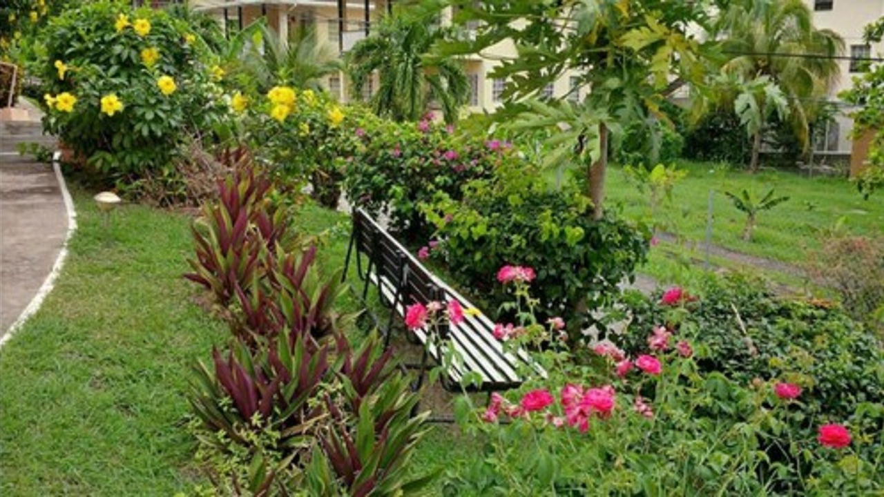 Photo of Outdoor in Morne Rouge