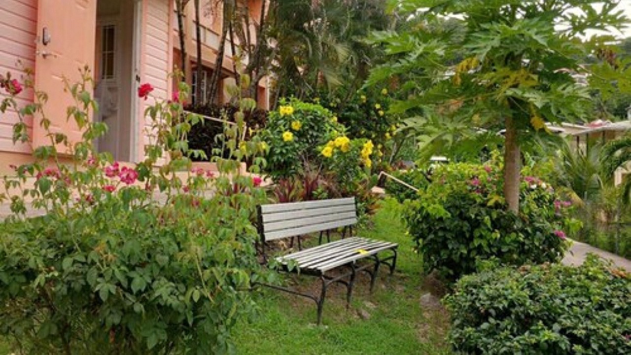 Photo of Outdoor in Morne Rouge