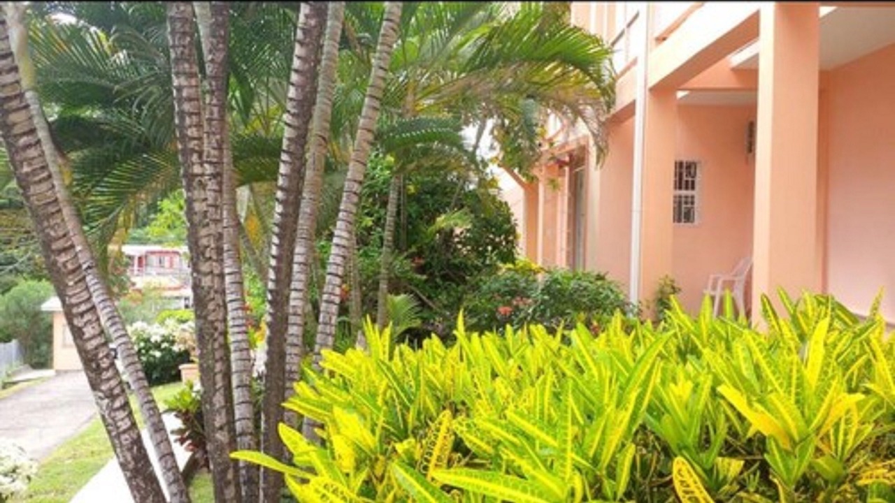 Photo of Outdoor in Morne Rouge
