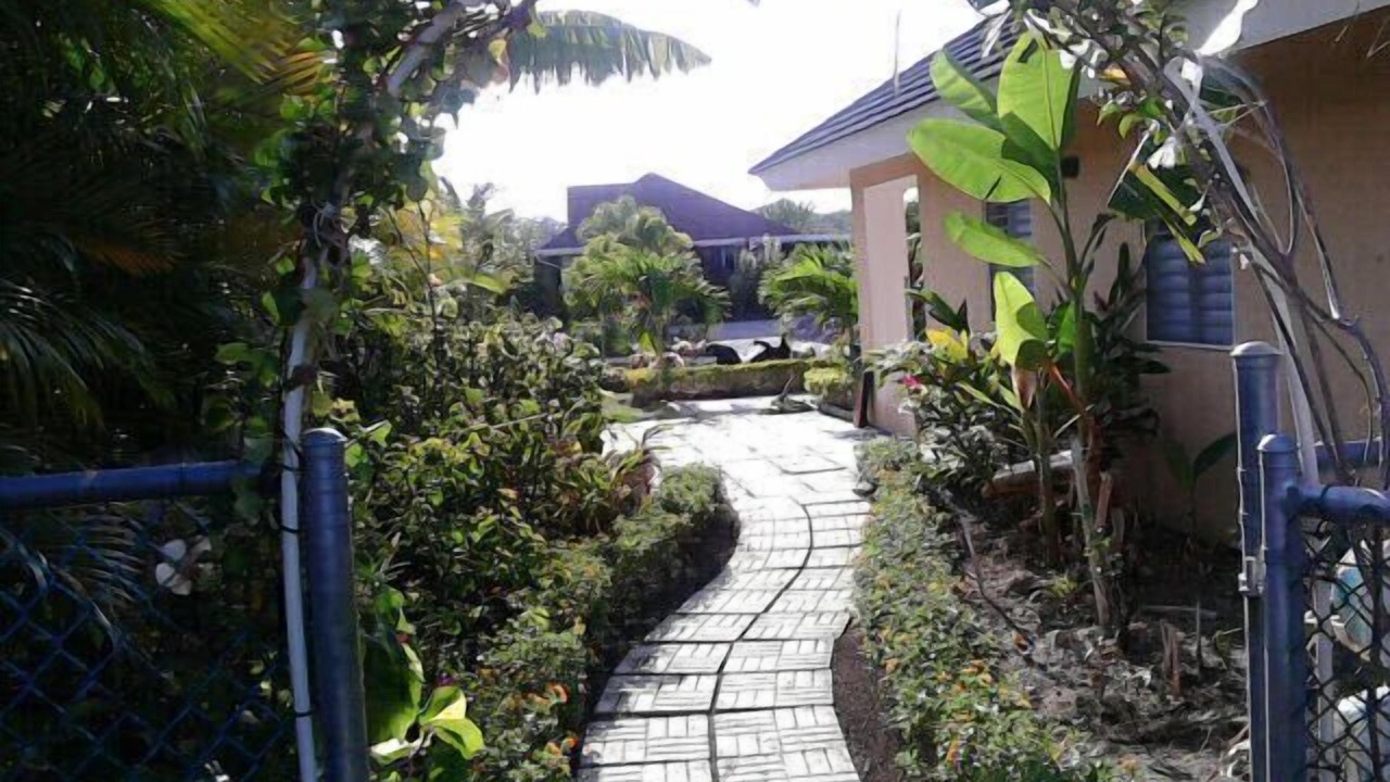 Photo of Outdoor in Mammee Bay