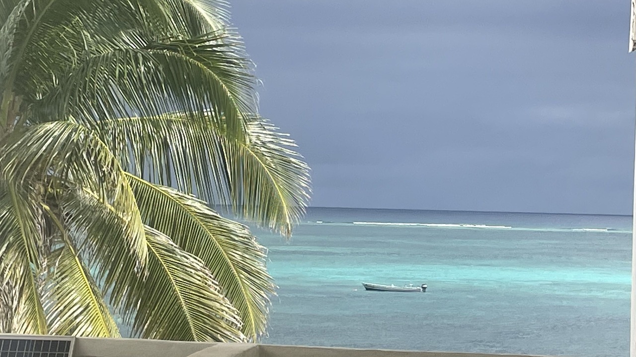 Photo of Outdoor in San Pedro