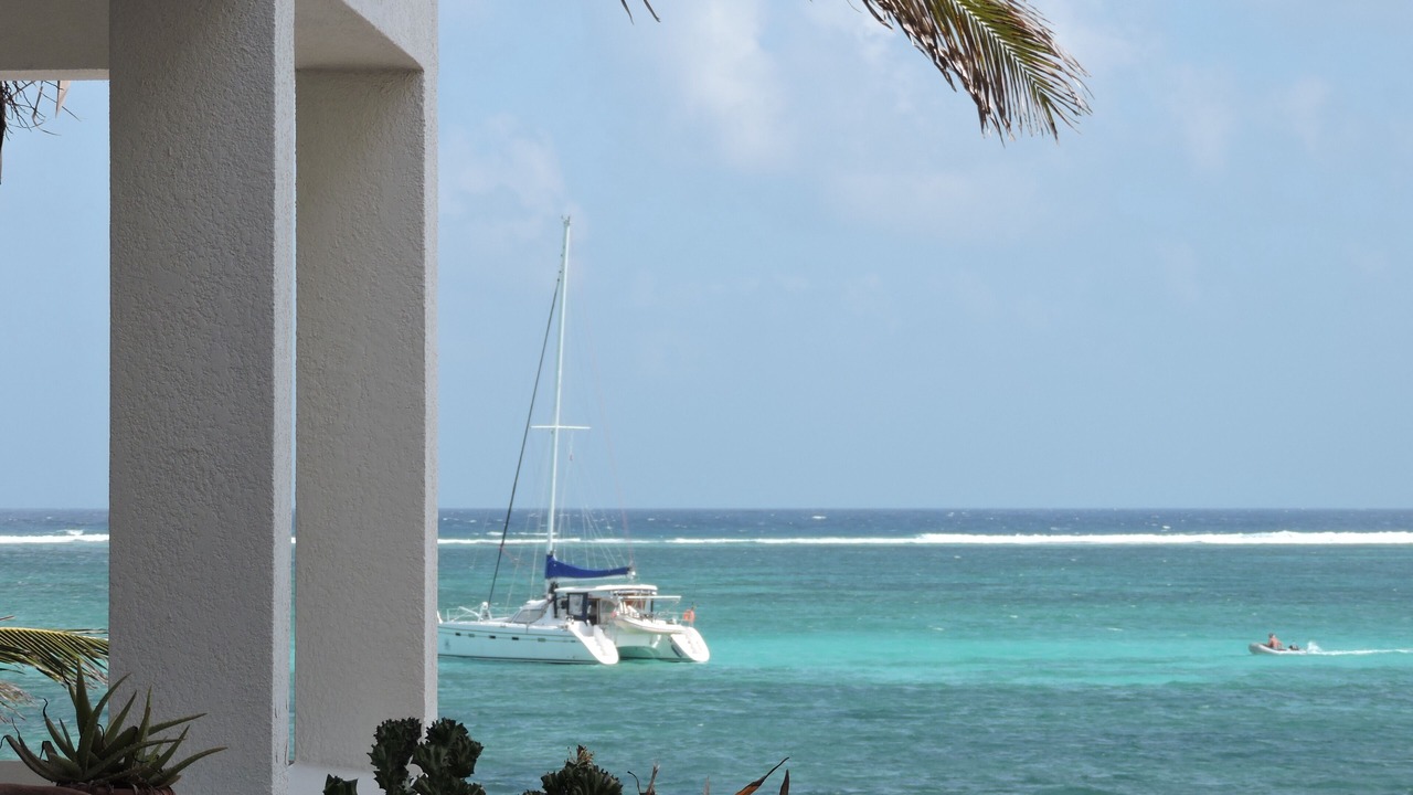 Photo of Outdoor in San Pedro