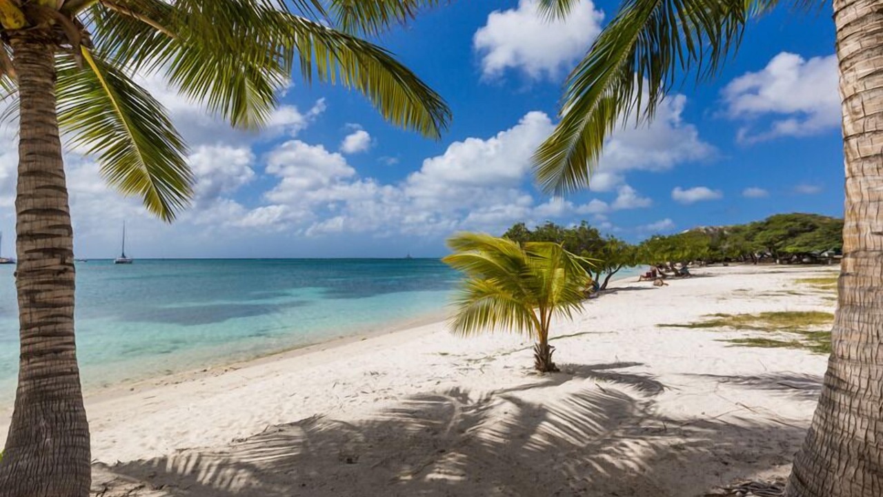 Photo of Others in Oranjestad