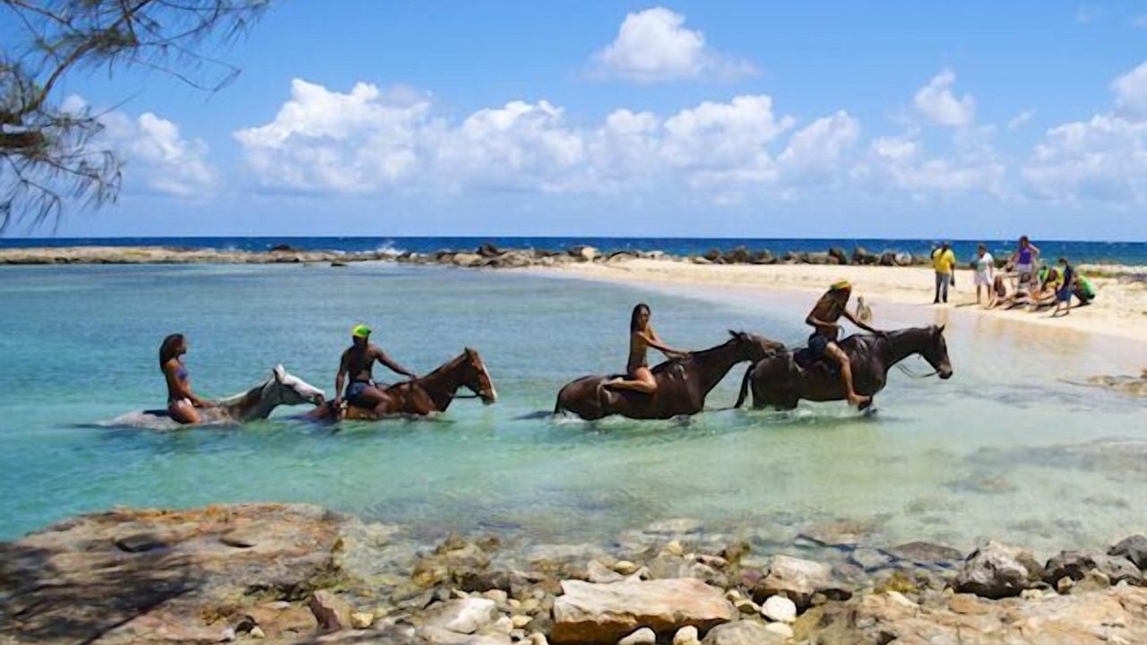 Photo of Others in Mammee Bay