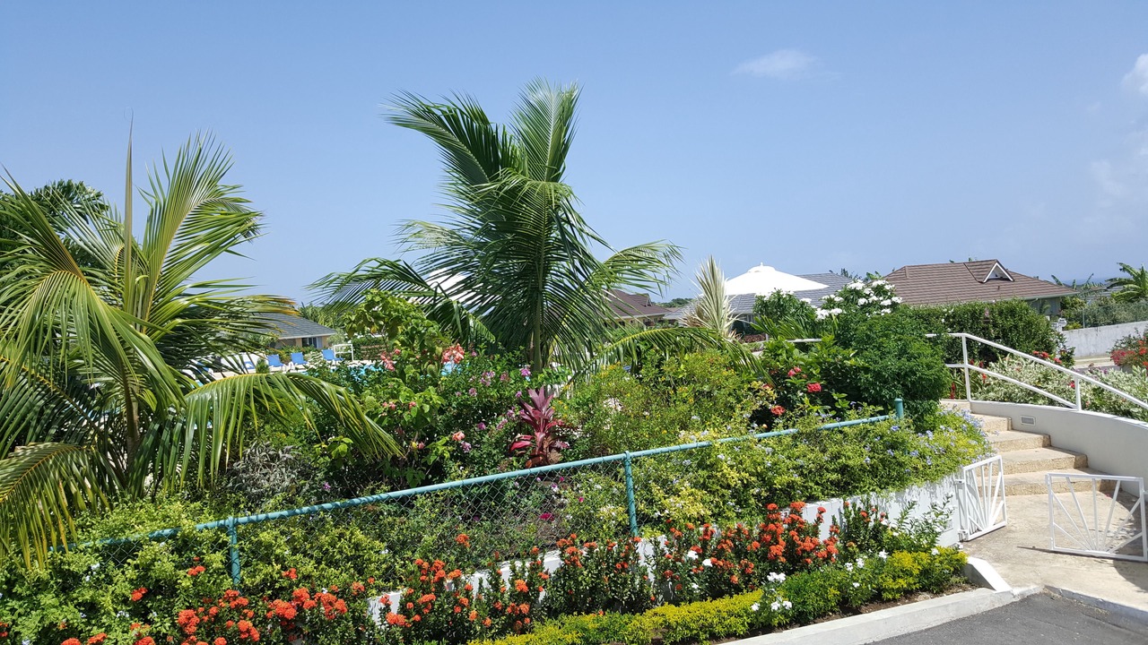 Photo of Outdoor in Mammee Bay