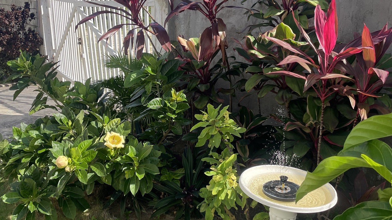 Photo of Outdoor in Montego Bay