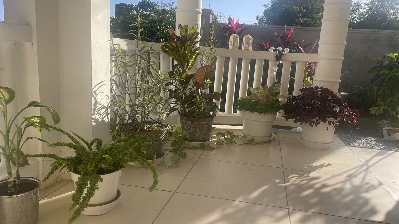 Photo of Outdoor in Montego Bay